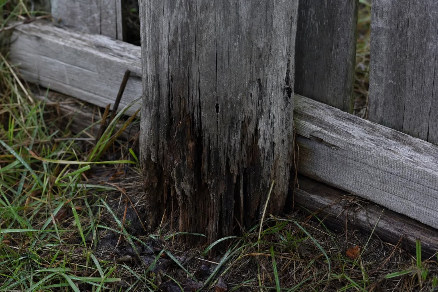 The base of an old timber fence post rotted through at ground level while the timber above it is still sound