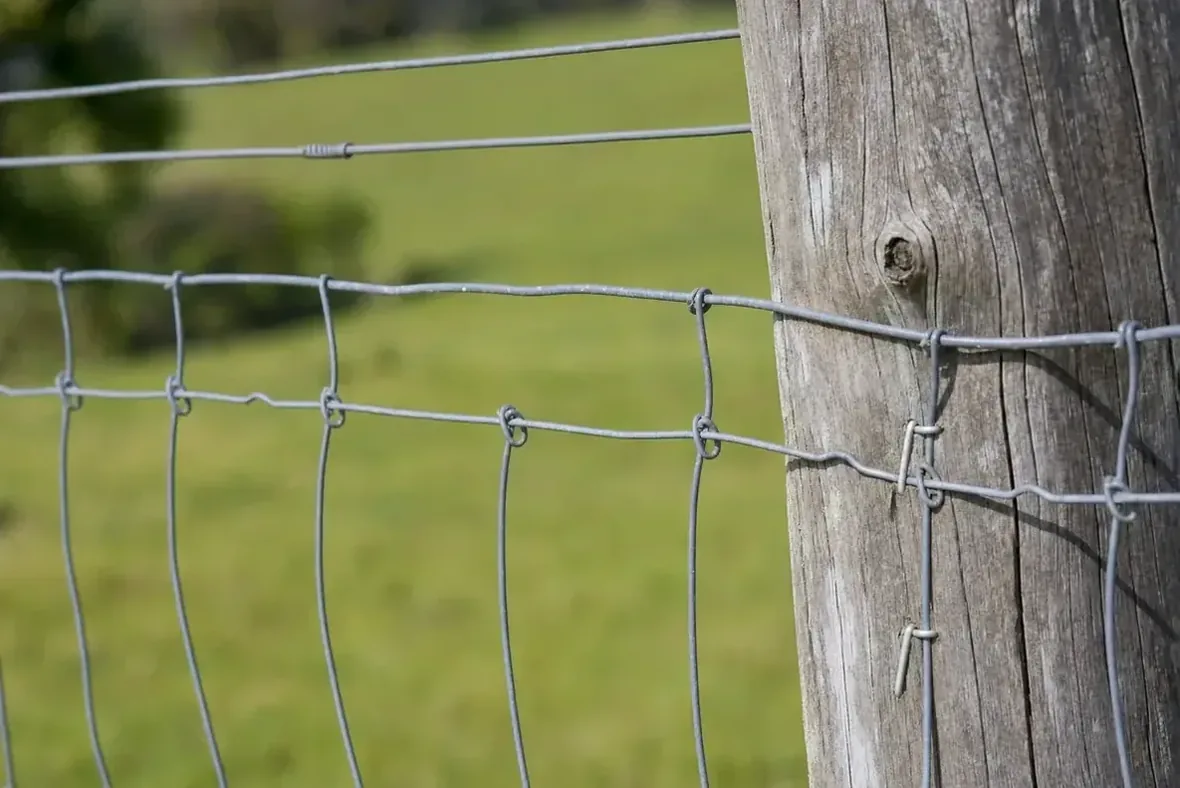 Fencing That Suits the Stock, rural & agricultural fencing in Launceston